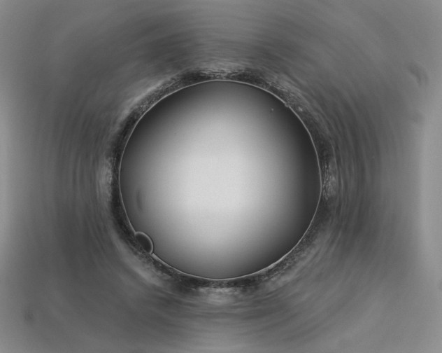 X0000113940448200909251244