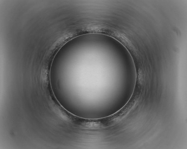 X0000113940449200909251244