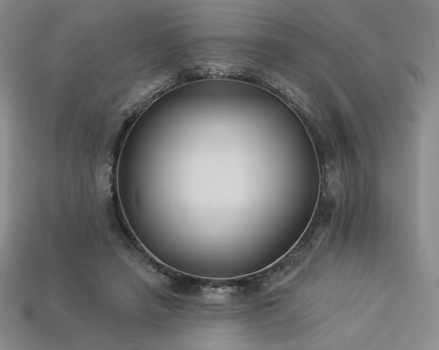 X0000113940450200909251244