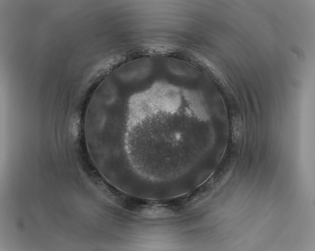 X0000113940451200909251244