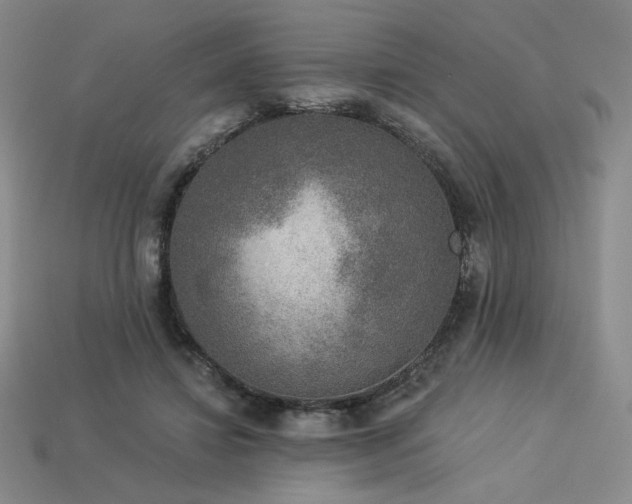 X0000113940452200909251244