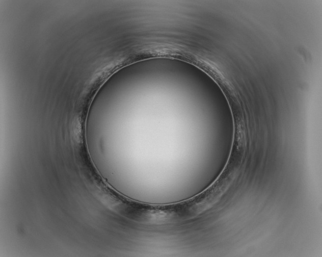 X0000113940453200909251244