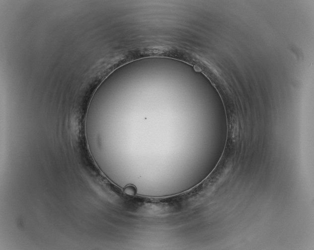 X0000113940455200909251244