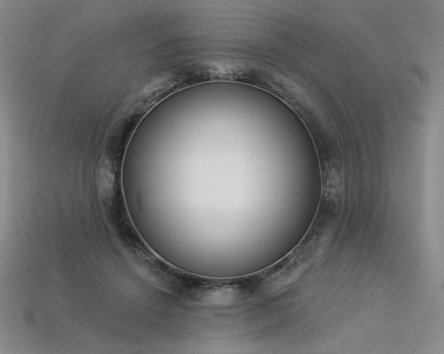 X0000113940456200909251244