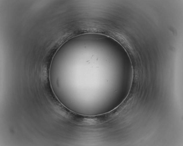 X0000113940457200909251244