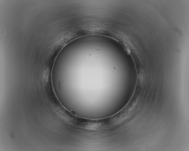 X0000113940458200909251244