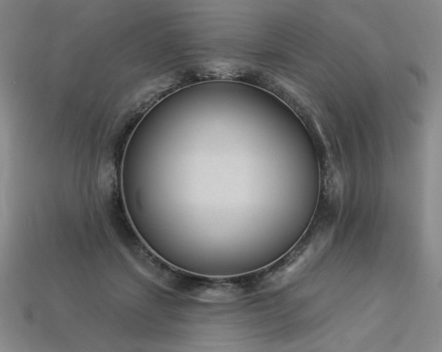 X0000113940459200909251244