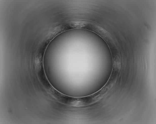 X0000113940460200909251244