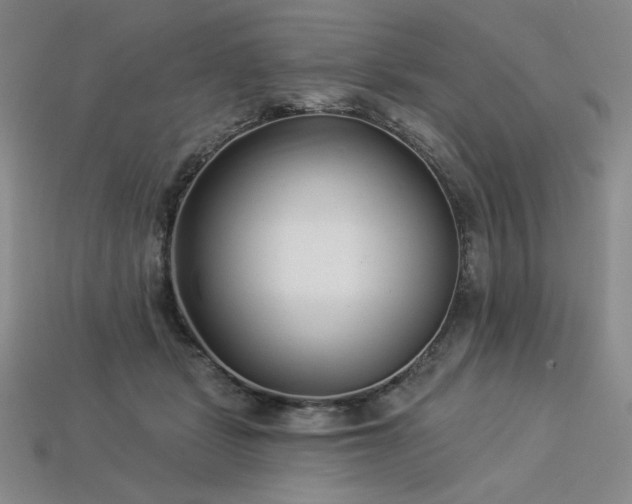 X0000113940461200909251244