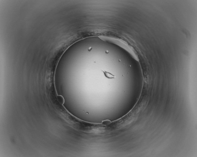 X0000113940462200909251244