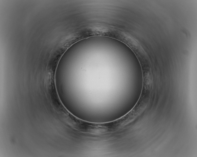 X0000113940463200909251244