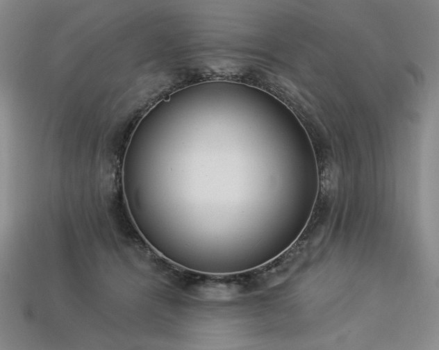 X0000113940464200909251244