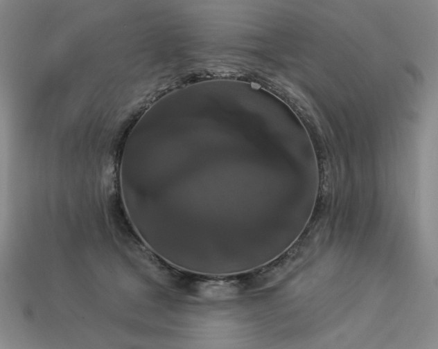 X0000113940465200909251244