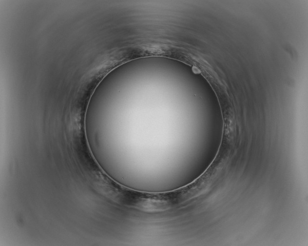 X0000113940466200909251244