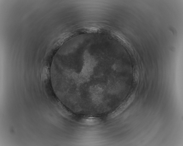 X0000113940467200909251244