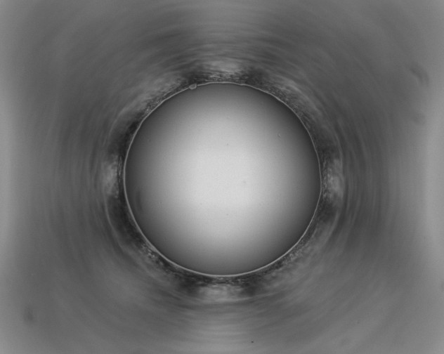 X0000113940468200909251244