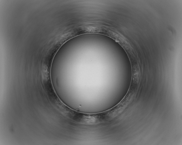 X0000113940469200909251244