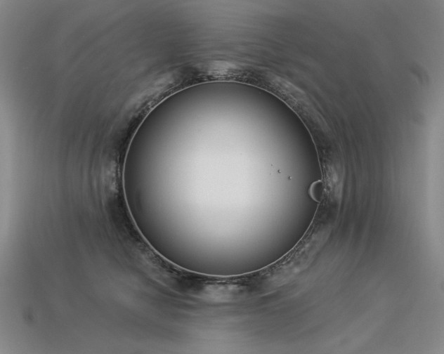 X0000113940470200909251244