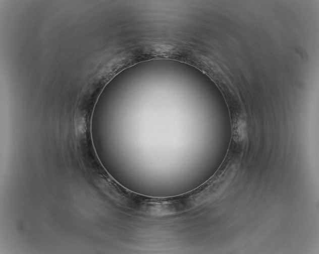 X0000113940472200909251244