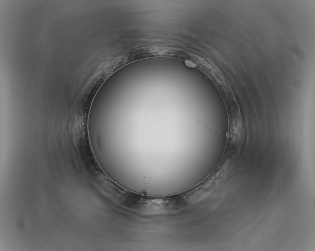 X0000113940473200909251244