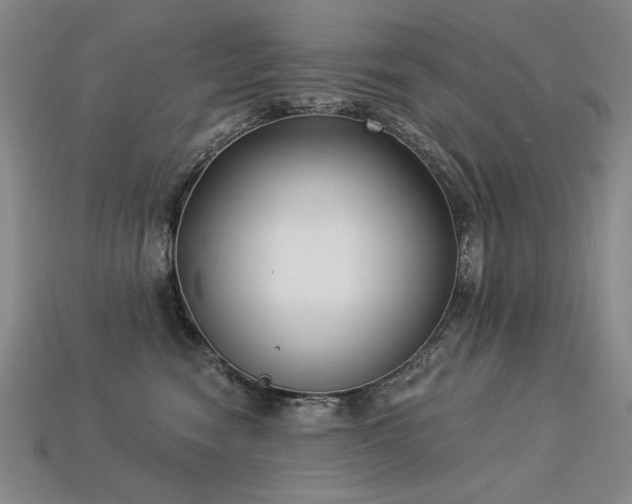 X0000113940474200909251244