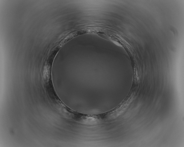 X0000113940475200909251244