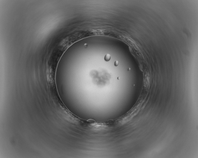 X0000113940477200909251244