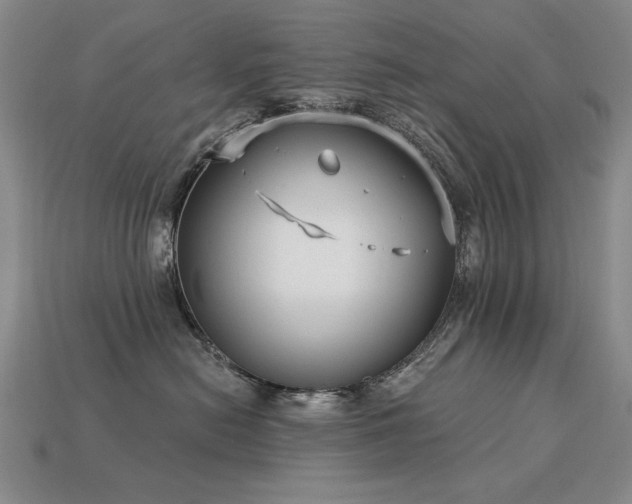 X0000113940478200909251244