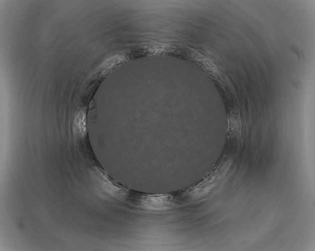 X0000113940479200909251244