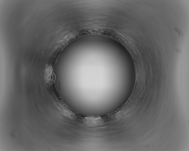 X0000113940480200909251244