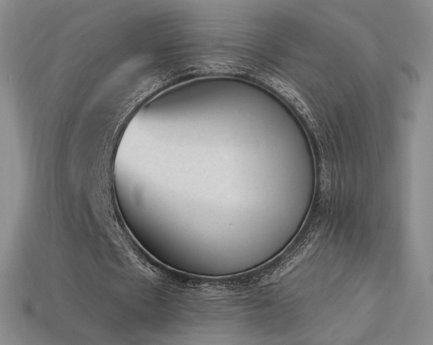 X0000113940481200909251243