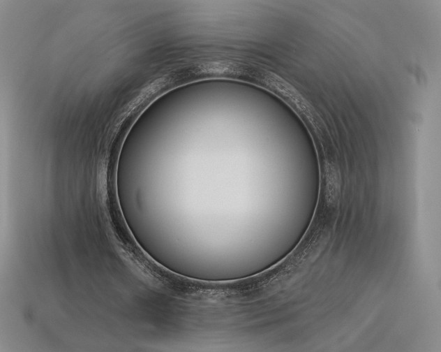 X0000113940482200909251243