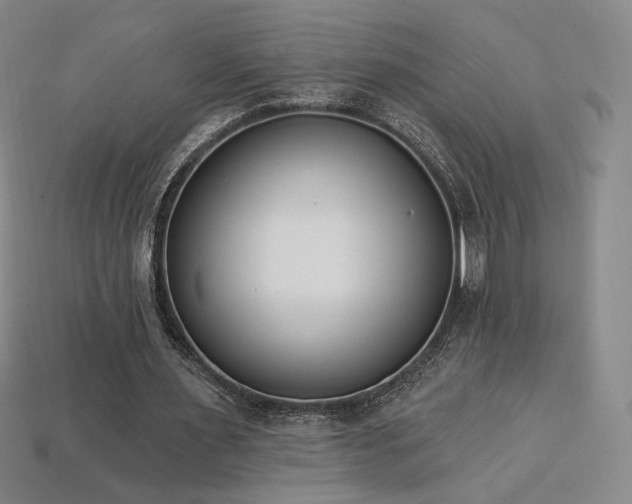 X0000113940483200909251243