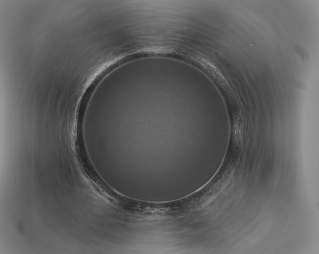 X0000113940484200909251243