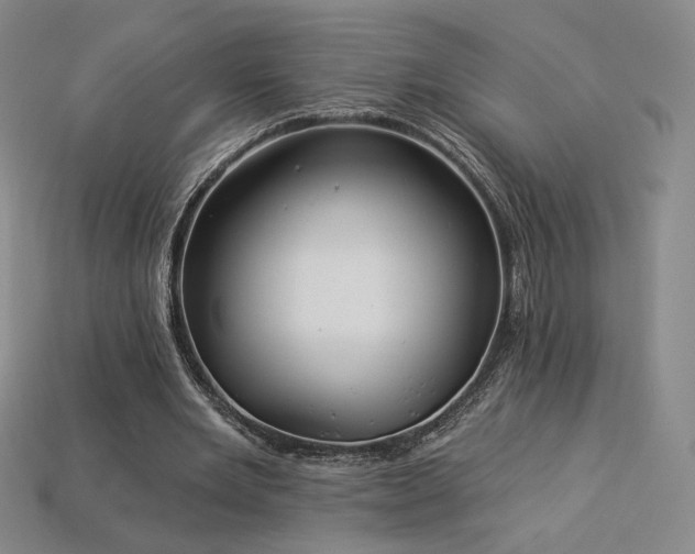 X0000113940485200909251243