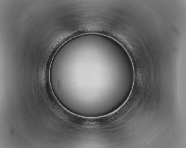 X0000113940487200909251243