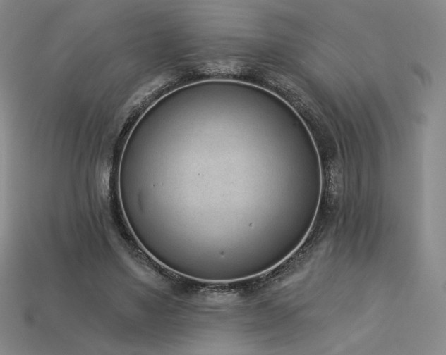 X0000113940491200909251243