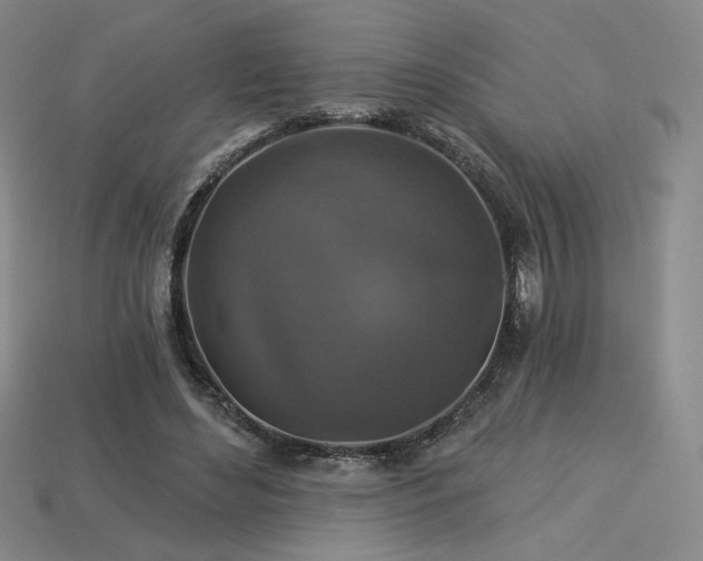 X0000113940492200909251243