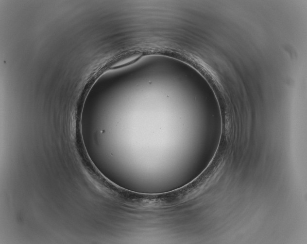 X0000113940493200909251243