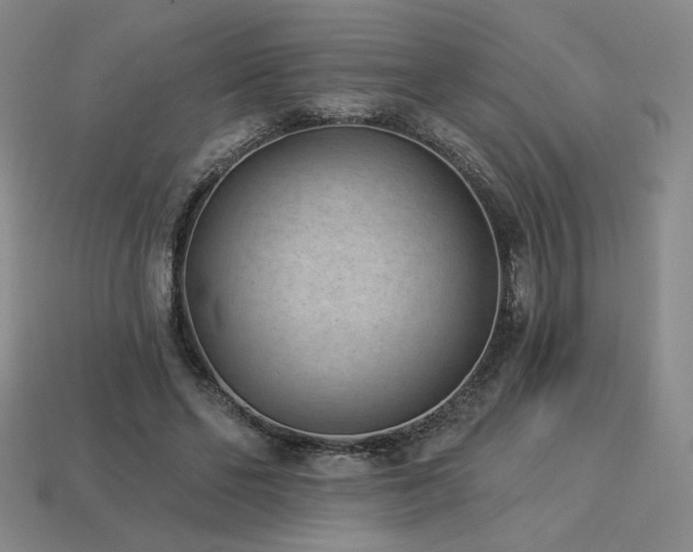 X0000113940494200909251243