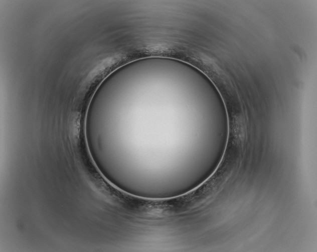 X0000113940495200909251243