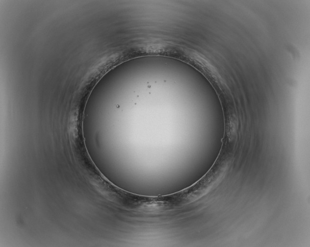 X0000113940497200909251243