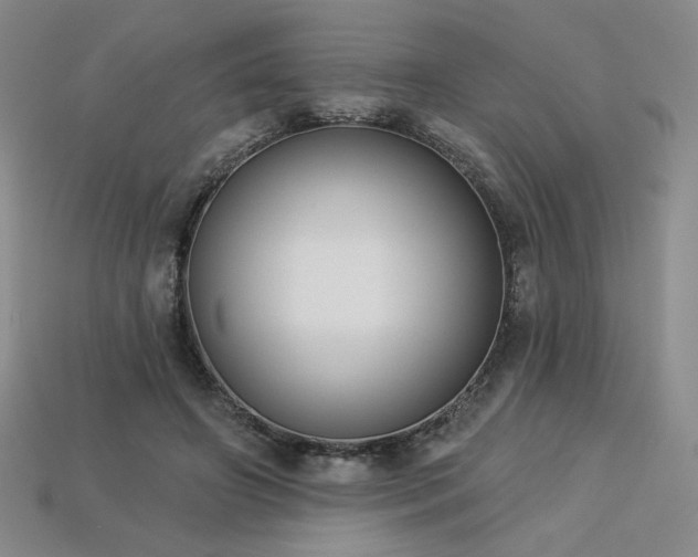 X0000113940498200909251243