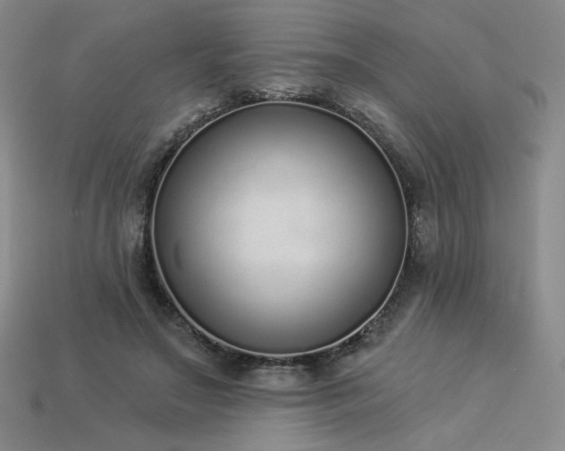 X0000113940499200909251243