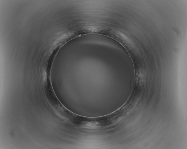 X0000113940500200909251243