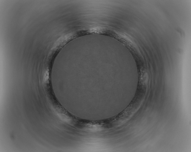 X0000113940502200909251243