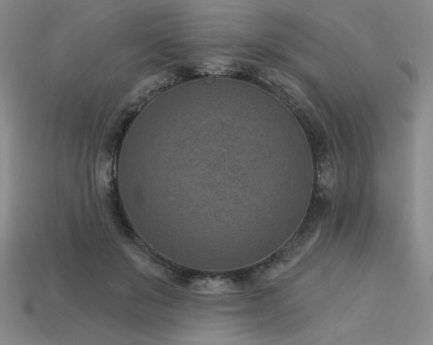 X0000113940503200909251243