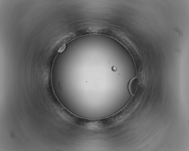 X0000113940505200909251243