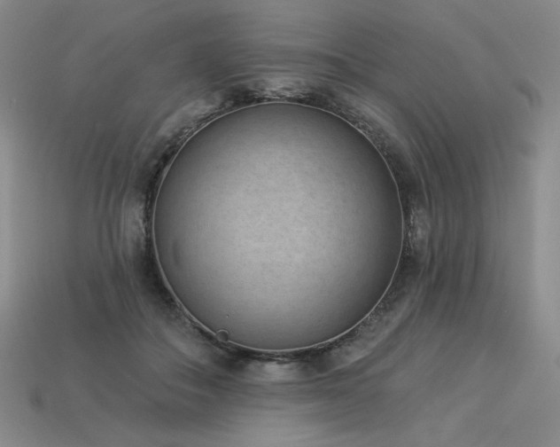 X0000113940506200909251243