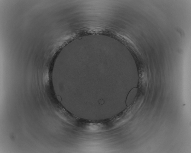 X0000113940508200909251243